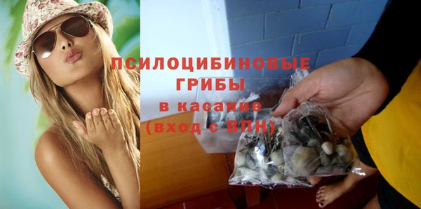 соль ск Гусь-Хрустальный