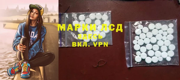 первитин Гусев