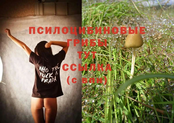 кокс Гусиноозёрск