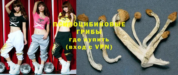 первитин Гусев