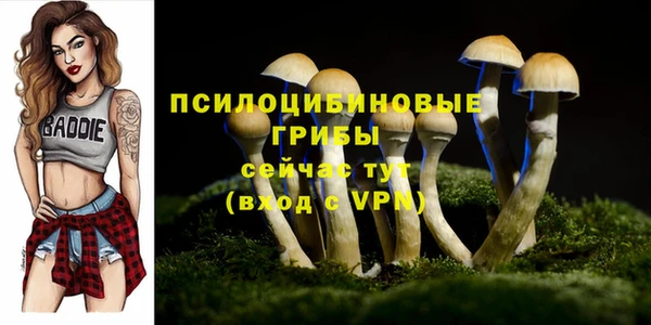 соль ск Гусь-Хрустальный
